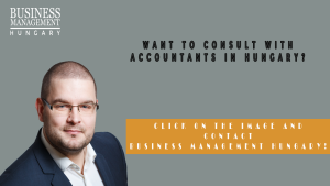 Accountants in Hungary