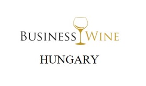 business management hungary tóth adorján starting business in hungary doing business in hungary business wine business wine hungary networking  BWH_logo_white